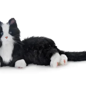 6_2480x2480_898d5095-a863-40d1-b5c3-9313cc95e491.webpv1680115275 Animal robotique de compagnie - Chat