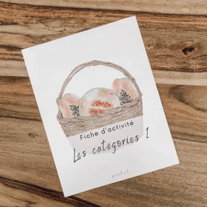 PASTEL-Fiched_activite-Lescategories1-ludique.jpgv1697584334 Activité à télécharger - Les catégories 1