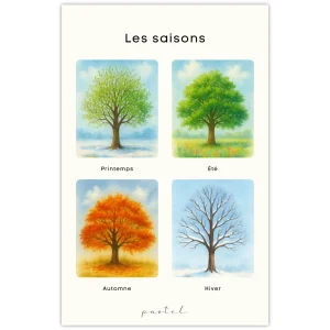 affiche-educative-camions-les-saisons-bajoue-pastel.pngv1751485143 Affiche éducative & décorative "Les saisons"