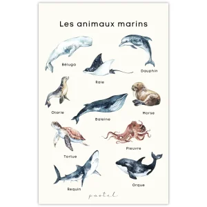 affiche-pastel-educative-animaux-marins.pngv1750963993 Affiche éducative & décorative "Les animaux marins"