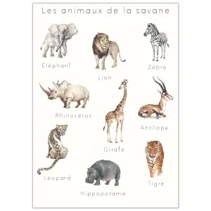 affiche-pastel-educative-savane.pngv1693577626 Affiche éducative & décorative "Animaux de la Savane"