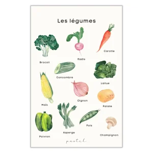 affichepastel-legumes-bajoue_afc486d2-4d5e-4561-acf9-db6fe2a78751.jpgv1732130241 Affiche éducative & décorative "Légumes"